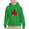 Youth Heavy Blend™ Hooded Sweatshirt Thumbnail