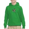 Youth Heavy Blend™ Hooded Sweatshirt Thumbnail
