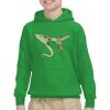 Youth Heavy Blend™ Hooded Sweatshirt Thumbnail