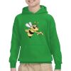 Youth Heavy Blend™ Hooded Sweatshirt Thumbnail