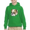 Youth Heavy Blend™ Hooded Sweatshirt Thumbnail