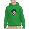Youth Heavy Blend™ Hooded Sweatshirt Thumbnail