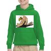 Youth Heavy Blend™ Hooded Sweatshirt Thumbnail