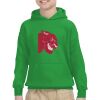 Youth Heavy Blend™ Hooded Sweatshirt Thumbnail