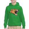 Youth Heavy Blend™ Hooded Sweatshirt Thumbnail