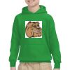 Youth Heavy Blend™ Hooded Sweatshirt Thumbnail