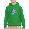 Youth Heavy Blend™ Hooded Sweatshirt Thumbnail