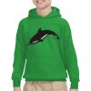 Youth Heavy Blend™ Hooded Sweatshirt Thumbnail
