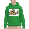 Youth Heavy Blend™ Hooded Sweatshirt Thumbnail