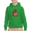 Youth Heavy Blend™ Hooded Sweatshirt Thumbnail