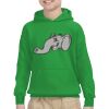 Youth Heavy Blend™ Hooded Sweatshirt Thumbnail
