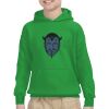 Youth Heavy Blend™ Hooded Sweatshirt Thumbnail