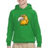 Youth Heavy Blend™ Hooded Sweatshirt Thumbnail