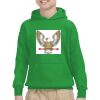 Youth Heavy Blend™ Hooded Sweatshirt Thumbnail