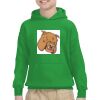 Youth Heavy Blend™ Hooded Sweatshirt Thumbnail