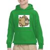Youth Heavy Blend™ Hooded Sweatshirt Thumbnail
