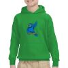 Youth Heavy Blend™ Hooded Sweatshirt Thumbnail