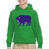 Youth Heavy Blend™ Hooded Sweatshirt Thumbnail