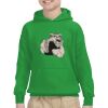 Youth Heavy Blend™ Hooded Sweatshirt Thumbnail