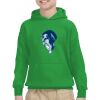 Youth Heavy Blend™ Hooded Sweatshirt Thumbnail