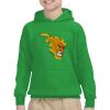 Youth Heavy Blend™ Hooded Sweatshirt Thumbnail