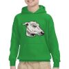 Youth Heavy Blend™ Hooded Sweatshirt Thumbnail