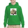 Youth Heavy Blend™ Hooded Sweatshirt Thumbnail