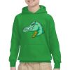Youth Heavy Blend™ Hooded Sweatshirt Thumbnail