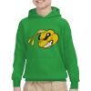Youth Heavy Blend™ Hooded Sweatshirt Thumbnail