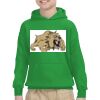 Youth Heavy Blend™ Hooded Sweatshirt Thumbnail