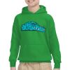 Youth Heavy Blend™ Hooded Sweatshirt Thumbnail