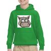 Youth Heavy Blend™ Hooded Sweatshirt Thumbnail