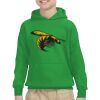 Youth Heavy Blend™ Hooded Sweatshirt Thumbnail