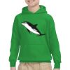 Youth Heavy Blend™ Hooded Sweatshirt Thumbnail