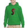 Youth Heavy Blend™ Hooded Sweatshirt Thumbnail
