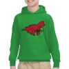 Youth Heavy Blend™ Hooded Sweatshirt Thumbnail