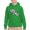 Youth Heavy Blend™ Hooded Sweatshirt Thumbnail