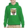 Youth Heavy Blend™ Hooded Sweatshirt Thumbnail