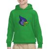 Youth Heavy Blend™ Hooded Sweatshirt Thumbnail