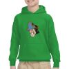 Youth Heavy Blend™ Hooded Sweatshirt Thumbnail