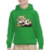 Youth Heavy Blend™ Hooded Sweatshirt Thumbnail