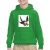 Youth Heavy Blend™ Hooded Sweatshirt Thumbnail