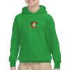 Youth Heavy Blend™ Hooded Sweatshirt Thumbnail