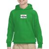 Youth Heavy Blend™ Hooded Sweatshirt Thumbnail
