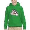 Youth Heavy Blend™ Hooded Sweatshirt Thumbnail