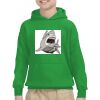 Youth Heavy Blend™ Hooded Sweatshirt Thumbnail