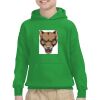 Youth Heavy Blend™ Hooded Sweatshirt Thumbnail