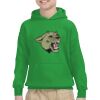 Youth Heavy Blend™ Hooded Sweatshirt Thumbnail