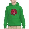 Youth Heavy Blend™ Hooded Sweatshirt Thumbnail