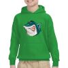 Youth Heavy Blend™ Hooded Sweatshirt Thumbnail